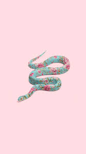 Maybe you would like to learn more about one of these? Wallpaper Tumblr Snake Wallpaper Tumblr Wallpaper Animal Wallpaper