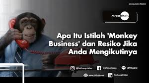Minangkabau cinta aini elta record. Apa Itu Istilah Monkey Business Dan Resiko Jika Anda Mengikutinya Feichangzhidao Know What You Don T Know