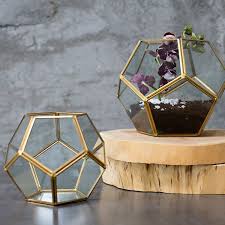 Get Modern Vases For Your Diy Wedding Arrangements Or Home Decor Like This Hira Pentagon Geometric Gla Terrarium Centerpiece Gold Terrarium Geometric Terrarium