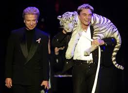 The pair were among the biggest names in the world of magic and were known for working with. Roy Horn Who Dazzled Audiences As Half Of Siegfried Roy Dies At 75 The New York Times