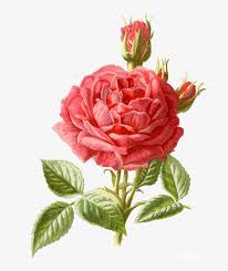 We did not find results for: Pattern Cross Stitch Flower Free Transparent Png Download Pngkey