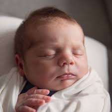 Blue Bird Photography‎