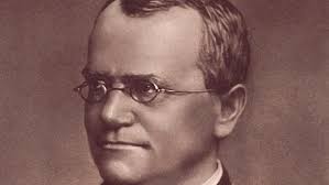 Mendel's genetic revolution and the legacy of scientific racism : Peoples  Dispatch