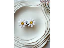 Image result for foto Kopretina