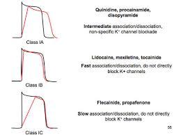 Image result for Sodium Channel Blocker