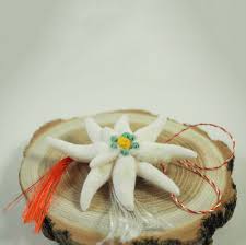 Canalul dvs va fi inchis. Martisor Floare De Colt Martisoare Cu Flori De Colt Martisoare