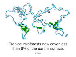 10 years ago get a court order. E Napp I Am A Tropical Rainforest In This Project Students Will Be Able To Identify Characteristics Of A Tropical Rain Forest State Geographic Effects Ppt Download