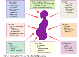 Learn vocabulary, terms, and more with flashcards, games, and other study tools. Chp 9 Maternal And Fetal Nutrition Flashcards Quizlet