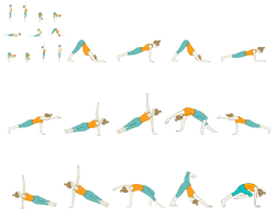 1 Hour Yoga Sequences Foundational Sequences For Yoga Teachers Tummee Com Hatha Yoga Sequence Yoga Sequences Arm Balances