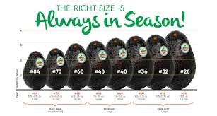 Avocados The Right Size Is Always In Season Baldorfood