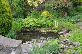 Wildlife Teich Lassen Sie Einen Teich In Die Umgebung Schmelzen Mit Einen Lassen Schmelzen Teich Umge Wasser Im Garten Teichlandschafts Gartenteich