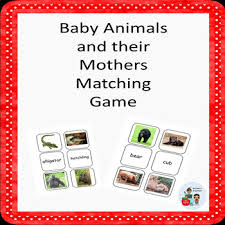 Baby Animal Names Matching Game Worksheets Teachers Pay Teachers