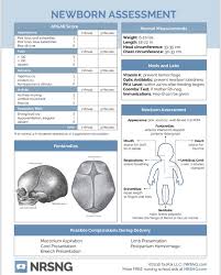 Newborn Assessment Newborn Nursing Pediatric Nursing Nicu Nurse
