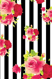 Black And White Rose Wallpaper Iphone Wallpaper Floral Wallpaper Pink Black White Stripe Roses Floral Wallpaper Floral Background Cellphone Wallpaper