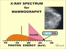 The Physics And Technology Of Mammography