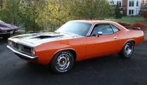 Image result for Vitamin C 1970 Fury