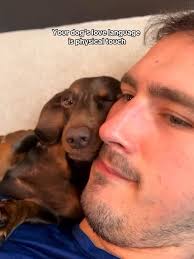 Ariel Pulido (@ariel.pulido10)'s videos with sonido original