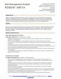 Risk Management Analyst Resume Samples Qwikresume
