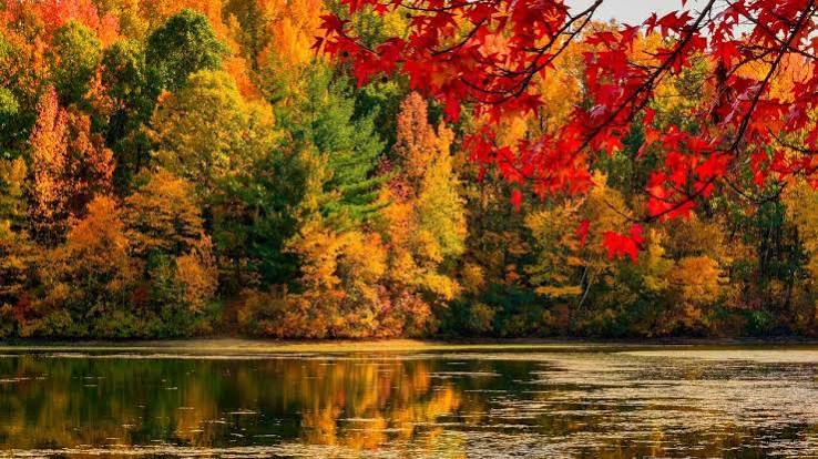 The difference between 'fall' and 'autumn' explained