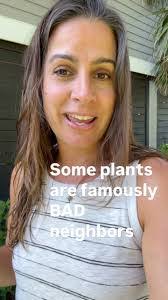 Kristen Colvin's Instagram, Twitter & Facebook