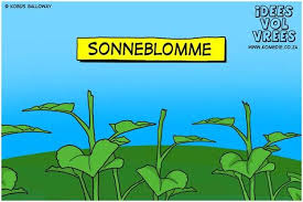 Idees Vol Vrees Google Search Afrikaans Afrikaanse Quotes Visual Puns
