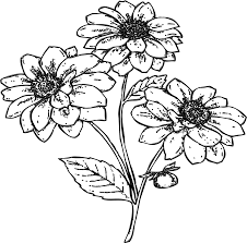 Bunga flora is on facebook. Info Gambar Ilustrasi Flora Bunga Transparent Cartoon Jing Fm