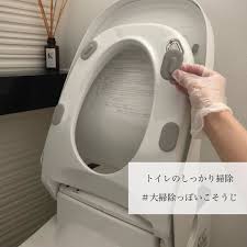満月 on instagram トイレの画像失礼します 今日は便座裏のゴムを外して泡ハイターして除菌しました 毎日拭いてるので汚れているようには見えなかったですが 不潔になりやすい箇所だと思うのでこれからもたまにやろうと思います 掃除 ハイター