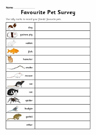 Pet Animals Primary Teaching Resources And Printables