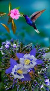 Image result for tbn:ekRZeqiUkU8b5M::www.hormiga.org/fondosescritorio/wallpapers/Paisajes-y-naturaleza/fotos/Paisajes-22.jpg