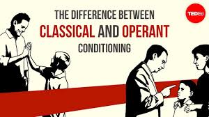 The Difference Between Classical And Operant Conditioning Ted Ed