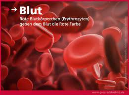 Zu den möglichen ursache des blutes können die tests keine sichere diagnose. Alle Blutwerte Verstandlich Erklart Dr Stephan