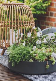 Schnelles Sommer Diy Outdoor Pflanzschale Mit Sukkulenten Pflanzschale Terrassen Tische Pflanzen