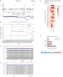 Crazy that such a tiny genome can wreck so much havoc! Insights On Early Mutational Events In Sars Cov 2 Virus Reveal Founder Effects Across Geographical Regions Peerj