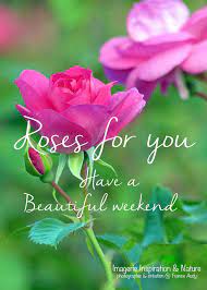 Whether the enemy likes it or not, you will overcome every of your challenges and shine. Imagerie Inspiration Nature Roses For You Have A Beautiful Weekend Xo Roses Weekend Facebook