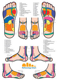 Free Foot Reflexology Chart 16 Hand Reflexology Foot
