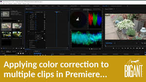 It is only fair that canon gives away some of their honed software, for free! Applying Color Correction To Multiple Clips In Adobe Premiere Youtube