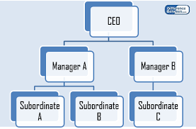 difference between chain of command and span of control