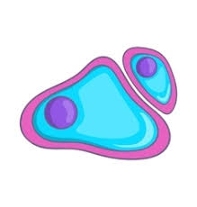 Nucleus Cell Cartoon Vector Images 83 Answer these quiz based flashcards based on the cell organelles and check your knowledge. nucleus cell cartoon vector images 83