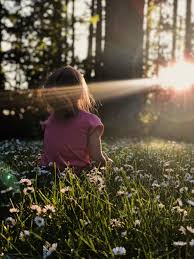 Maybe you would like to learn more about one of these? Mother Nature Pictures Download Free Images Stock Photos On Unsplash