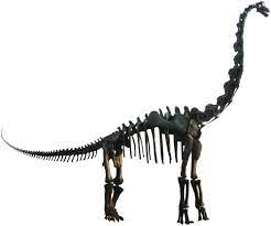 Once the player survives ten days as a carnivore they unlock that corresponding badge as well as the brachiosaurus. Brachiosaurus Wikipedia