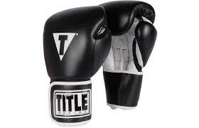 Title Boxing Pro Style Gloves Reviewed