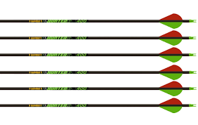 Gold tip xt hunter 5575 arrows with vanes. Gold Tip Hunter Xt Custom Carbon Arrows Fletched To Order Trimmed To Length With Nocks Inserts And Tips Installed Hunter S Friend