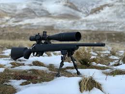 Maybe you would like to learn more about one of these? Vortex Diamondback Tactical Ffp Test The Reloaders Network