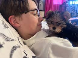 I need a name for my new baby🥰