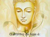 Elaine Serrano (elssserrano)