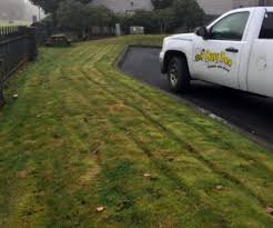 Serving the greater olympia and dupont areas since 1997 with honesty, professionalism, and knowledge. Lawn Moss Removal Control Busy Bee Lawn Service In Olympia Wa