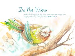 Birds Of The Air And Lilies Of The Field Do Not Worry Heavenly Father No Worries Gods Love