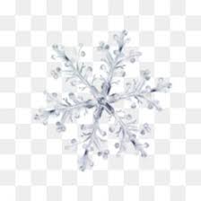 Winter Png Winter Transparent Clipart Free Download Winter Clothes Clipart Winter Sport Clip Art White Flower Png White Flowers Snowflakes