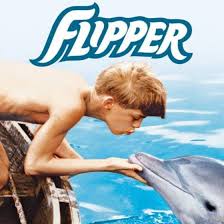 Flipper Le Dauphin Generique Dauphin Serie Culte Clip Video