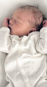 Centennial Drive Development Society building